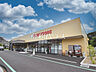 周辺：ヨークフーズ 保谷店 (1290m)