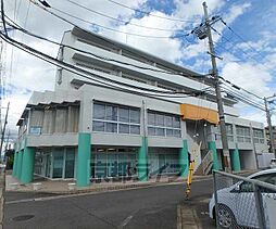 近鉄京都線 向島駅 徒歩9分の賃貸マンション