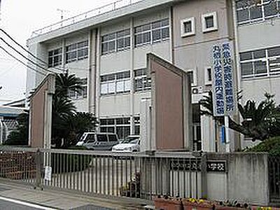 周辺：【小学校】丸栖小学校まで560ｍ