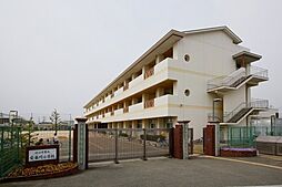 紀の川市桃山町市場・土地・126759