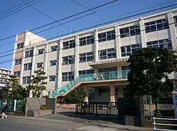 海南市幡川・土地・126880