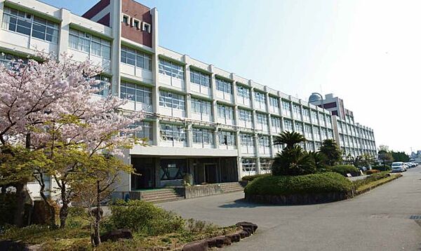 画像8:兵庫県立姫路南高等学校