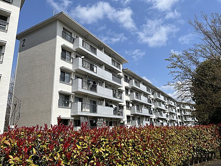 緑に囲まれた落ち着いた外観。ゆとりある配置の団地。