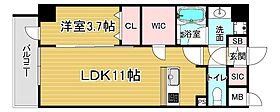 「レオンコンフォート西大路御池」  ｜ 京都府京都市中京区西ノ京下合町（賃貸マンション1LDK・5階・38.93㎡） その1