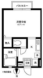 アネシス