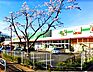 周辺：フードワン ゆりのき台店（1330m）