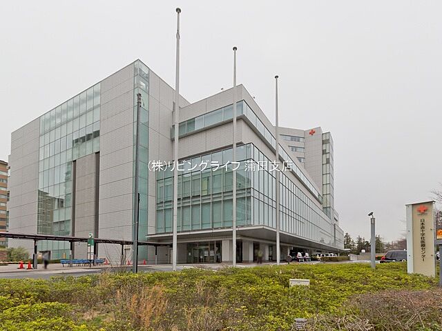 周辺 ザパークハウス西麻布レジデンス 21階/-