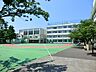 周辺：大田区立入新井第五小学校　 190m