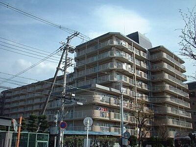 外観 外観