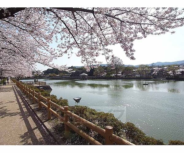 ルネットＡｄａｃｈｉ 202｜京都府長岡京市天神1丁目(賃貸アパート1K・2階・27.08㎡)の写真 その30