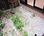 室内：観葉植物など置くことができます
