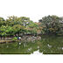 周辺：公園「菊名池公園まで1208m」