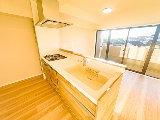 キッチン レクセルガーデン西国分寺 3階/-