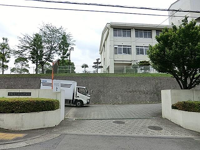 周辺 ライオンズマンション多摩センター 7階/-