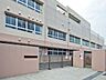 周辺：八王子市立横山中学校まで約1093m