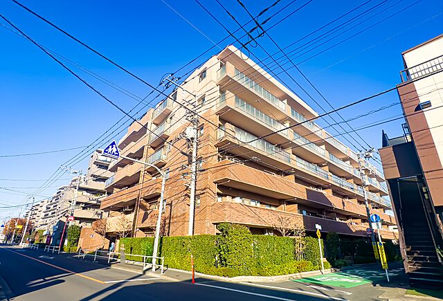 外観 レクセルガーデン一橋学園 3階/-