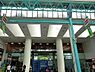 周辺：西友吉祥寺店まで約459m