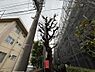 外観：現地外観写真（2026.3.19撮影）