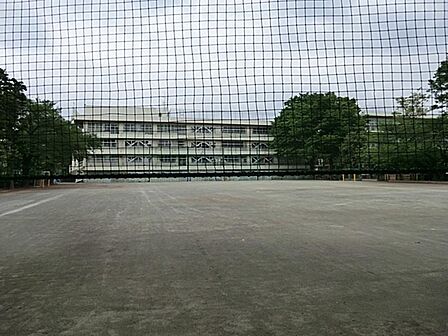 武蔵野市立境南小学校まで約765m