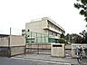 周辺：青梅市立河辺小学校まで約652m