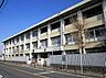 周辺：川崎市立稲田中学校まで約1100m