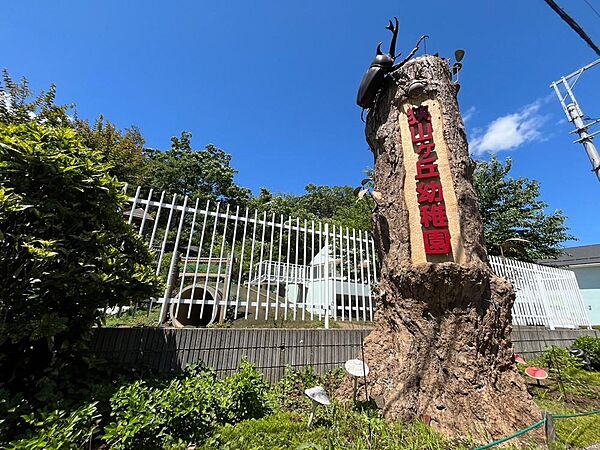 周辺を拡大表示