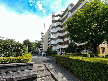 青空と豊かな緑に包まれた敷地内アプローチ!広々とした歩道と手入れされた植栽が心地よい住環境。
