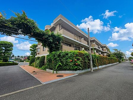 建物は3階建ての低層レジデンス。植栽に囲まれた外観は周辺の落ち着いた街並みに馴染み、南北2面バルコニーを採用した住戸が設けられています。ゆとりを感じる敷地配置も印象的なマンションです。