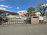 周辺：つみき保育園 1590m