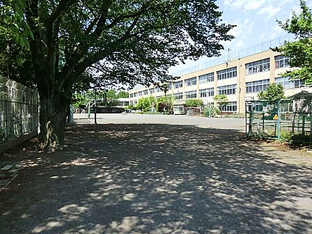 東大和市立第八小学校まで約555m