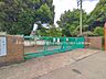 周辺：小金井市立緑小学校 390m