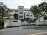周辺：小金井市立小金井第四小学校まで約500m