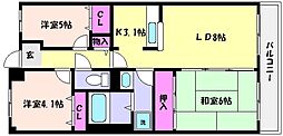ウエストコート11番街 3LDKの間取図画像