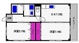 甲南タマタニマンション 3階/-