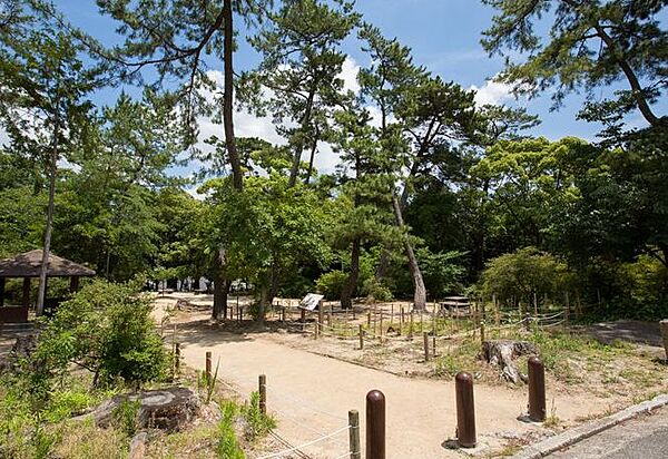 画像18:【公園】広田山公園まで263ｍ