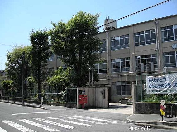 京都市立梅津小...