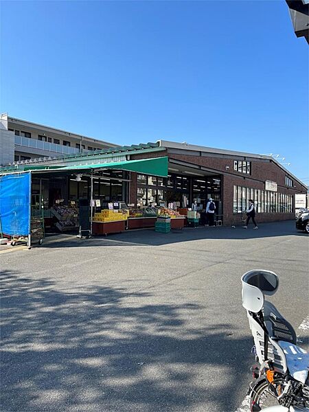 画像3:業務スーパー 太秦店（544m）