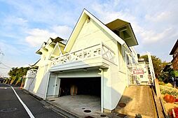 レディース・イン・セシリア