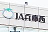 周辺：【銀行】JA兵庫西　旭陽支店まで1054ｍ