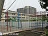 周辺：川崎市立東大島小学校 徒歩3分。教育施設が近くに整った、子育て世帯も安心の住環境です。 240m
