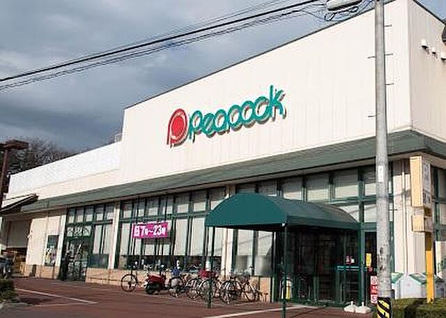 周辺 国分寺市光町3丁目