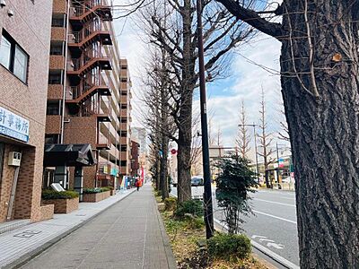 外観：交通量や駅までの距離も、購入時の大切なポイントです。実際に現地でご確認ください。