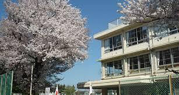 周辺 一橋学園ガーデニア 4階/-