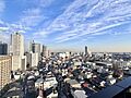 実際の日当たり...