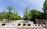 周辺：中央区立浜町公園まで約550m