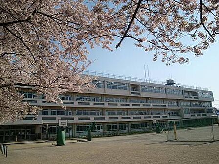 国分寺市立第三小学校まで約1079m