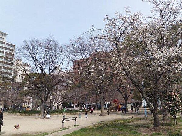 大阪府大阪市西区土佐堀３丁目(賃貸マンション1R・5階・15.45㎡)の写真 その13