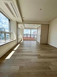 東京メトロ南北線 麻布十番駅 徒歩3分の賃貸マンション 10階1LDKのリビング/ダイニング