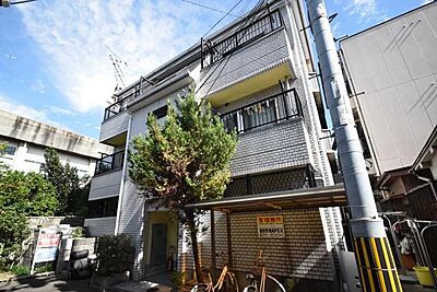 外観 外観