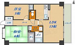 クレージュ 6階/-